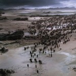 Exodus-Gods-and-Kings-HD-Images